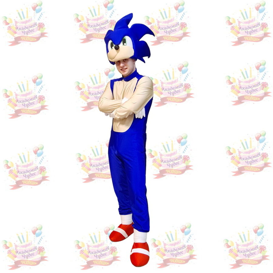 Animator Sonic podczas programu dla dzieci