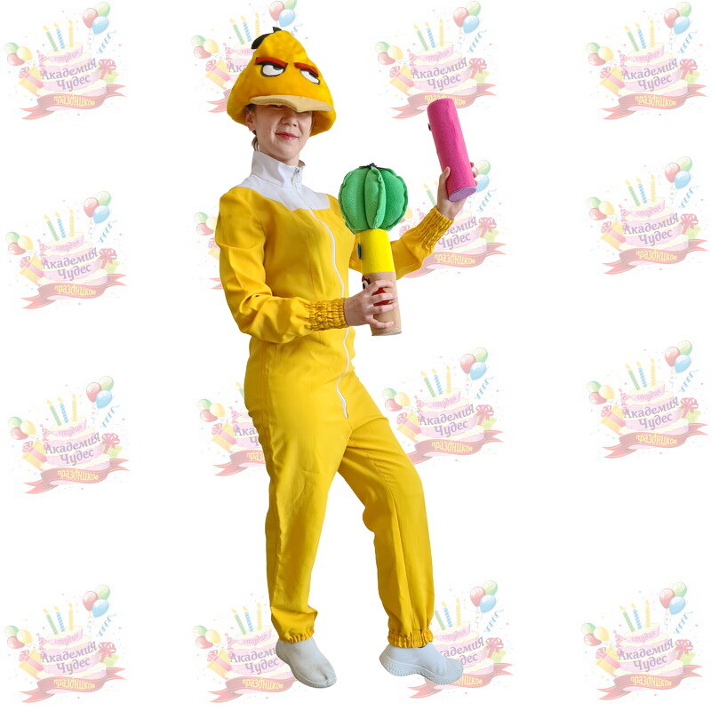 Angry Birds entertainer during a children's programme